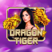 Dragon Tiger jl8 casino table